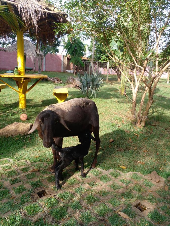 Pousada Cafe Da Roca Campos Gerais Экстерьер фото